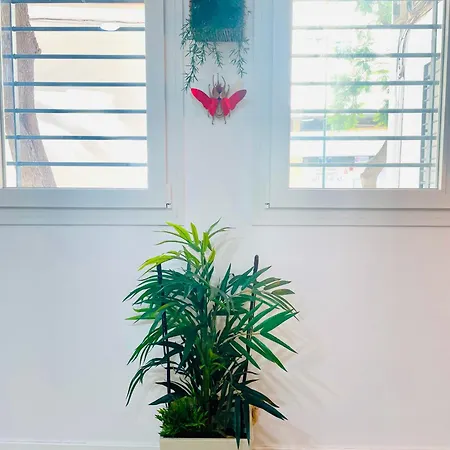 Completo Y En Apartment Malaga
