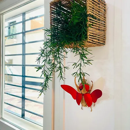 Apartment Completo Y En *